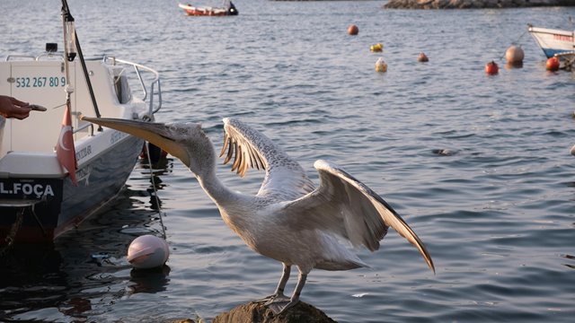 Fem druknet i mai – alle var menn, fire var fisketurister