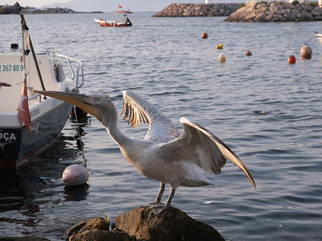 Fem druknet i mai – alle var menn, fire var fisketurister