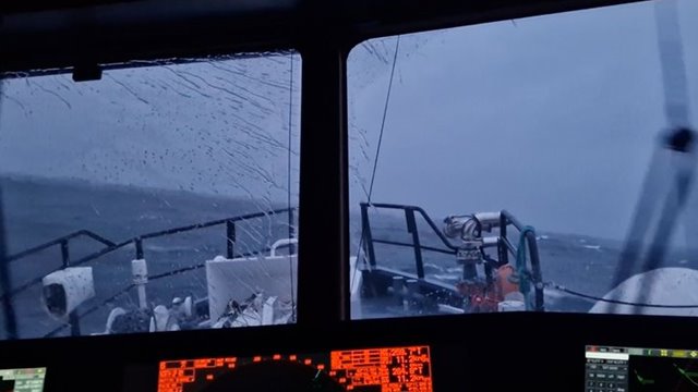 39 personer druknet i sommer